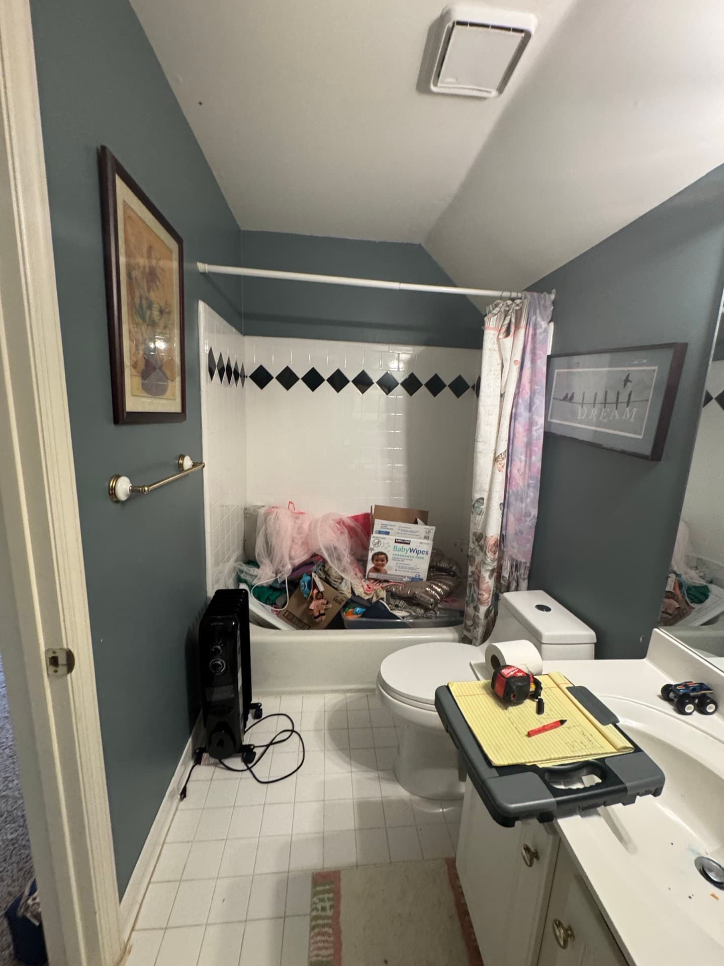 Bathroom Renovation — before