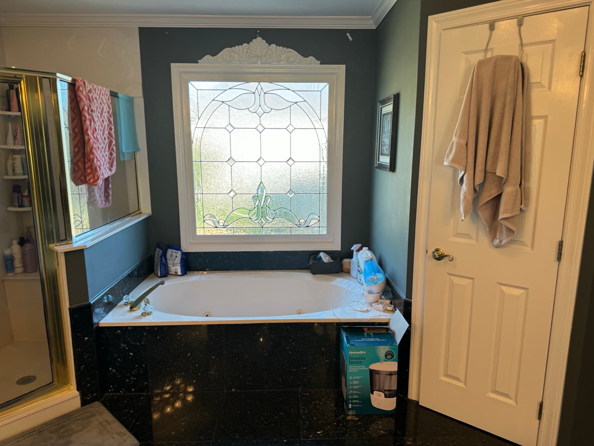 Master Bathroom Remodel — before, angle 2